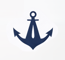 AVS Marine anchor logo